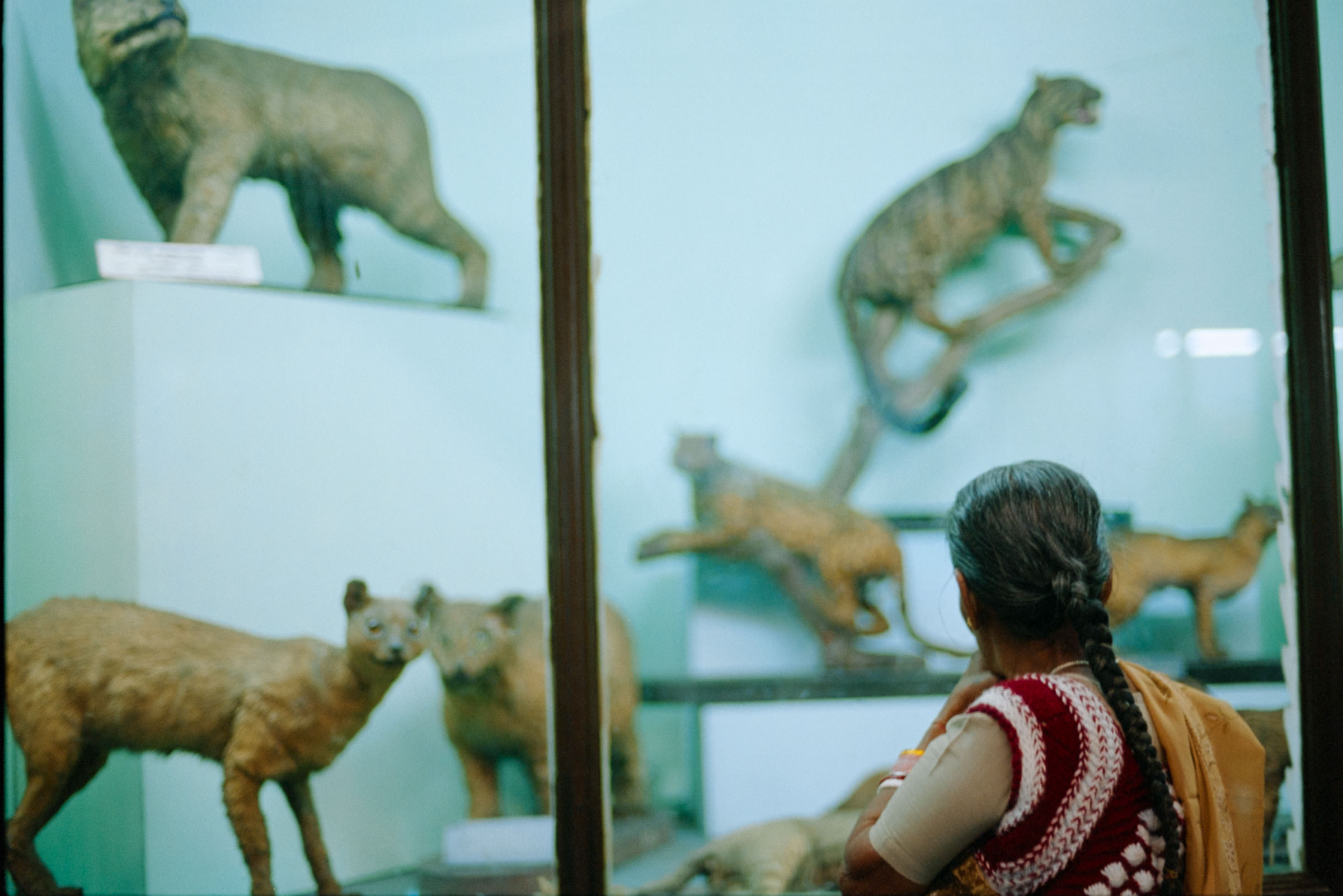 AHP film 2005 01 001 sc240825 img28 NLP